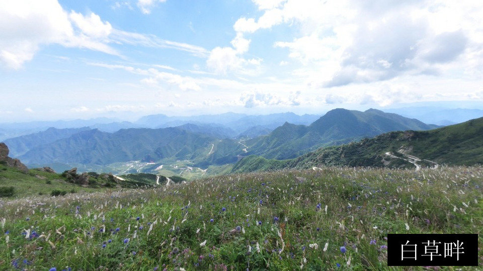 白草畔